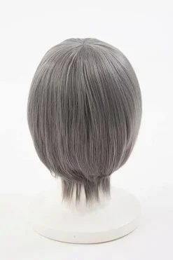 Persona 4 Yu Narukami Wig (Anime Ver.)
