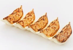 Plastic Model: Gyoza