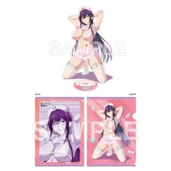 Please Put Them On, Takamine-san Clear File & Acrylic Stand Set