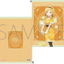 Puella Magi Madoka Magica Clear File