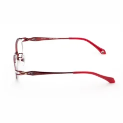 Puella Magi Madoka Magica the Movie: Rebellion Kyoko Sakura Glasses