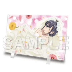 Rascal Does Not Dream of Bunny Girl Senpai Acrylic Stand