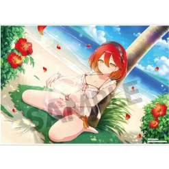 Shinobi Master Senran Kagura: New Link Visual Acrylic Plate