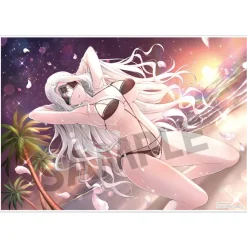 Shinobi Master Senran Kagura: New Link Visual Acrylic Plate