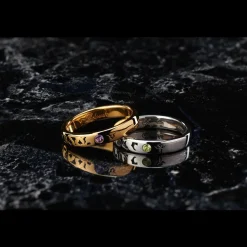 Statue & Ring Style Code Geass: Lelouch of the Rebellion Lelouch Lamperouge & Suzaku Kururugi