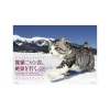 Tabi-Neko Nyankichi Zekkei o Iku 2018 Calendar