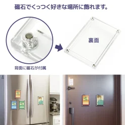 The Case PRO Magnetic Display Case: Standard Card Size (Set of 2)