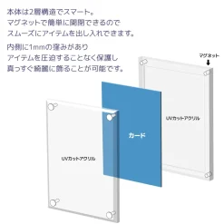 The Case PRO Magnetic Display Case: Standard Card Size (Set of 2)