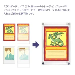 The Case PRO Magnetic Display Case: Standard Card Size (Set of 2)