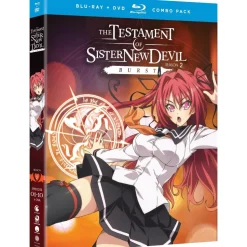 The Testament of Sister New Devil Burst Season 2 + OVA Blu-ray/DVD Combo Pack
