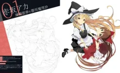 Touhou Project Illustration Drawing Techniques Using Paint Tool Fire Alpaca