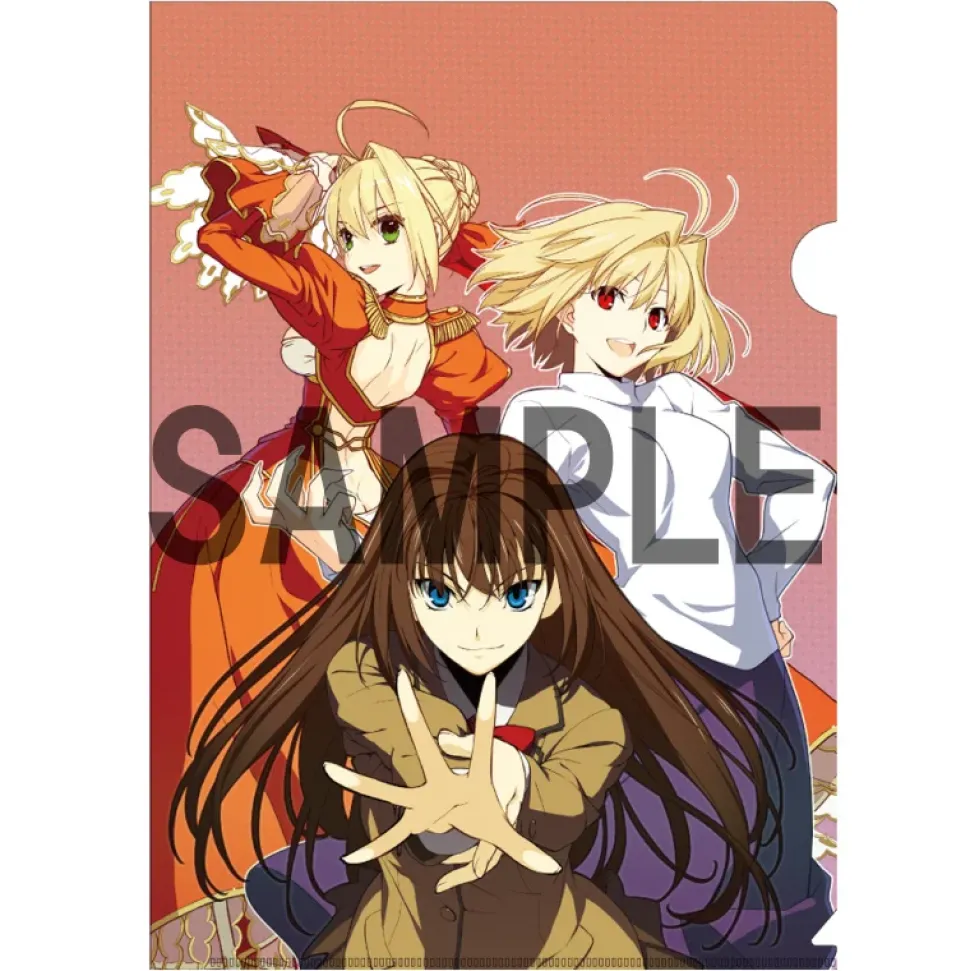 TYPE-MOON Ace Cover Illustration Clear File Folder Set