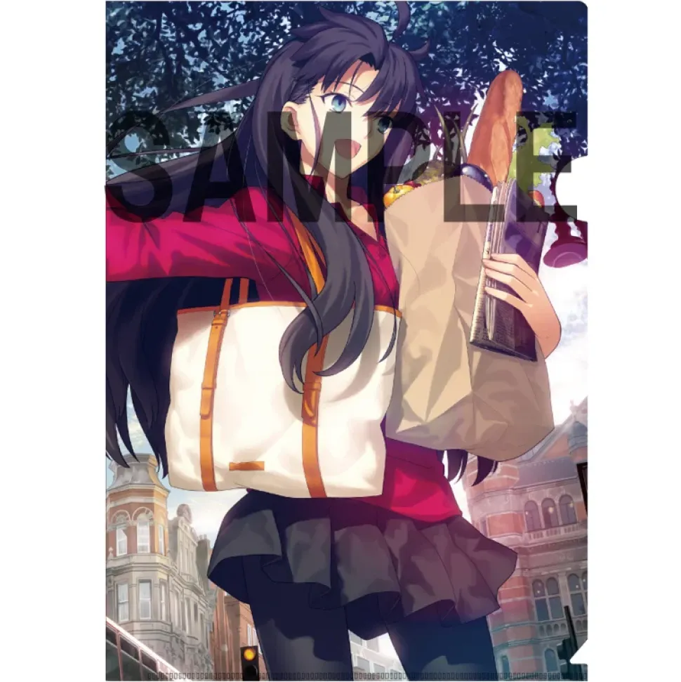 TYPE-MOON Ace Cover Illustration Clear File Folder Set