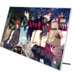 TYPE-MOON Ace Takashi Takeuchi Cover Illustration Acrylic Art Board